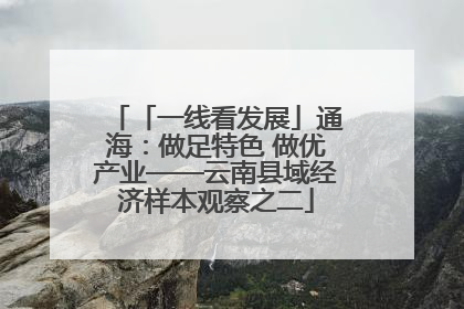 「一线看发展」通海：做足特色 做优产业——云南县域经济样本观察之二