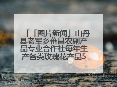 「图片新闻」山丹县老军乡蕃昌农副产品专业合作社每年生产各类玫瑰花产品500多吨