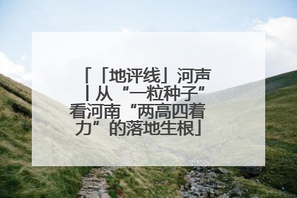 「地评线」河声丨从“一粒种子”看河南“两高四着力”的落地生根