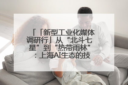 「新型工业化媒体调研行」从“北斗七星”到“热带雨林”：上海AI生态的技术商业共生密码