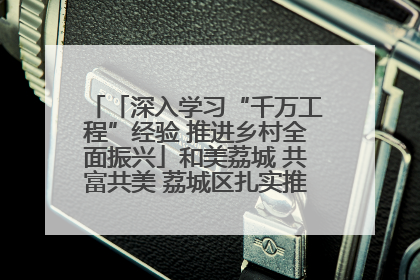 「深入学习“千万工程”经验 推进乡村全面振兴」和美荔城 共富共美 荔城区扎实推进乡村振兴工作