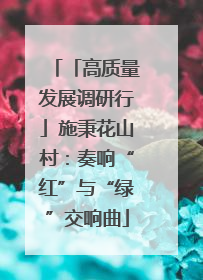 「高质量发展调研行」施秉花山村：奏响“红”与“绿”交响曲