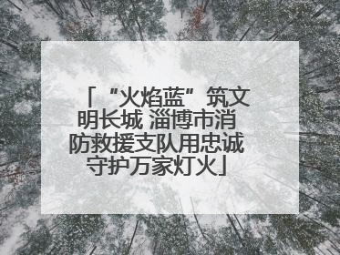 “火焰蓝”筑文明长城 淄博市消防救援支队用忠诚守护万家灯火