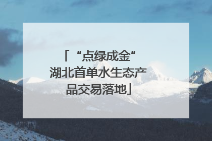 “点绿成金” 湖北首单水生态产品交易落地