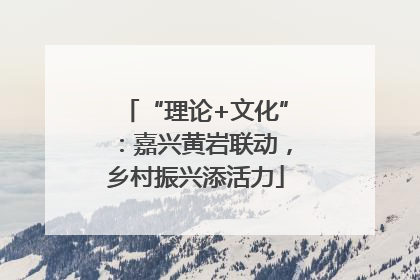 “理论+文化”：嘉兴黄岩联动，乡村振兴添活力