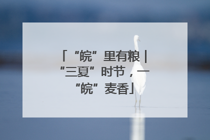 “皖”里有粮｜“三夏”时节，一“皖”麦香