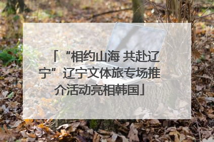 “相约山海 共赴辽宁”辽宁文体旅专场推介活动亮相韩国