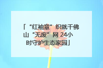 “红袖章”织就千佛山“无废”网 24小时守护生态家园