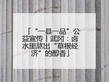 “一县一品”公益宣传丨武冈：卤水里熬出“草根经济”的醇香