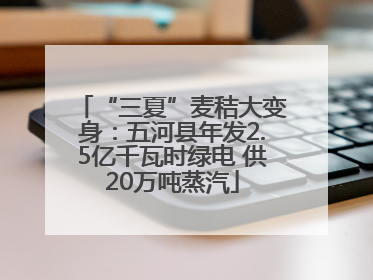 “三夏”麦秸大变身：五河县年发2.5亿千瓦时绿电 供20万吨蒸汽