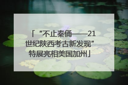 “不止秦俑——21世纪陕西考古新发现”特展亮相美国加州