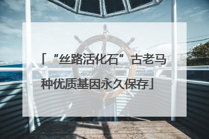 “丝路活化石”古老马种优质基因永久保存