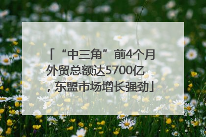 “中三角”前4个月外贸总额达5700亿，东盟市场增长强劲
