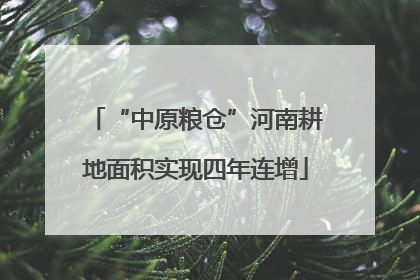 “中原粮仓”河南耕地面积实现四年连增