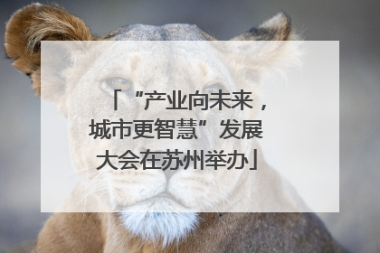 “产业向未来，城市更智慧”发展大会在苏州举办