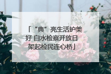 “典”亮生活护美好 白水检察开放日架起检民连心桥