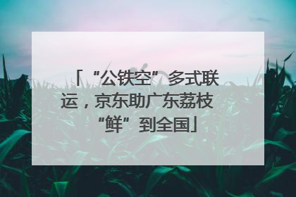 “公铁空”多式联运，京东助广东荔枝“鲜”到全国