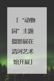 “动物园”主题摄影展在清河艺术馆开展