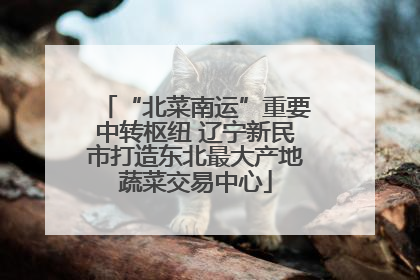 “北菜南运”重要中转枢纽 辽宁新民市打造东北最大产地蔬菜交易中心