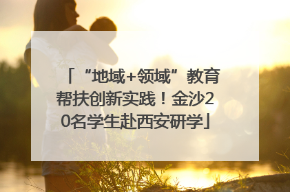 “地域+领域”教育帮扶创新实践！金沙20名学生赴西安研学