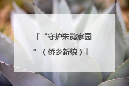 “守护朱鹮家园”（侨乡新貌）