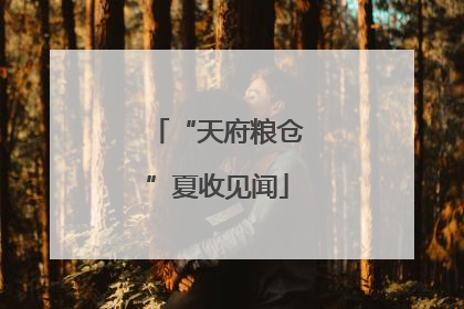 “天府粮仓”夏收见闻