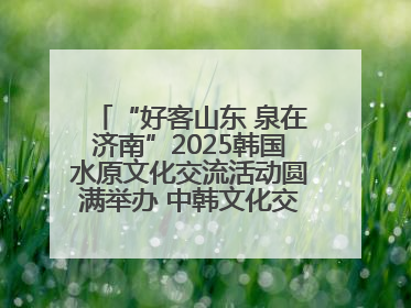 “好客山东 泉在济南”2025韩国水原文化交流活动圆满举办 中韩文化交流再添新彩