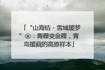 “山海情・雪域援梦”⑧：青稞变金稞，青岛援藏的高原样本
