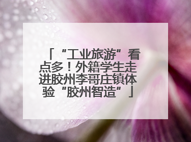 “工业旅游”看点多！外籍学生走进胶州李哥庄镇体验“胶州智造”