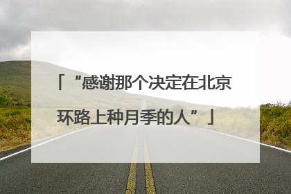 “感谢那个决定在北京环路上种月季的人”