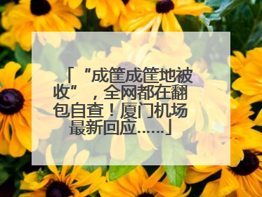 “成筐成筐地被收”，全网都在翻包自查！厦门机场最新回应……