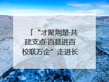 “才聚荆楚·共建支点·百县进百校联万企”走进长江大学文理学院
