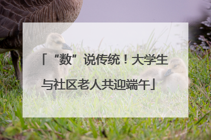 “数”说传统！大学生与社区老人共迎端午