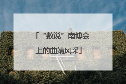“数说”南博会上的曲靖风采