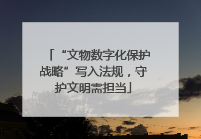 “文物数字化保护战略”写入法规，守护文明需担当