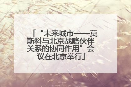 “未来城市——莫斯科与北京战略伙伴关系的协同作用”会议在北京举行
