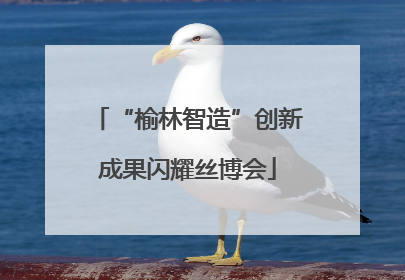 “榆林智造”创新成果闪耀丝博会