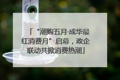 “潮购五月·成华最红消费月”启幕，政企联动共掀消费热潮