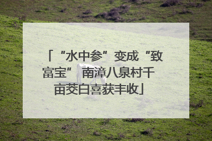 “水中参”变成“致富宝” 南漳八泉村千亩茭白喜获丰收