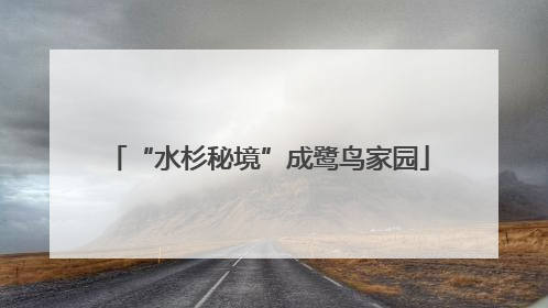 “水杉秘境”成鹭鸟家园
