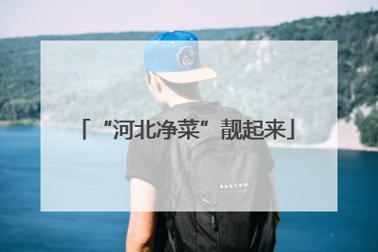 “河北净菜”靓起来