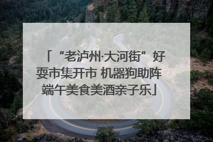 “老泸州·大河街”好耍市集开市 机器狗助阵端午美食美酒亲子乐