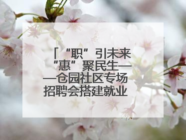 “职”引未来“惠”聚民生——仓园社区专场招聘会搭建就业“暖心桥”