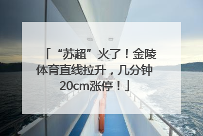 “苏超”火了！金陵体育直线拉升，几分钟20cm涨停！