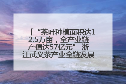 “茶叶种植面积达12.5万亩，全产业链产值达57亿元” 浙江武义茶产业全链发展“加速度”
