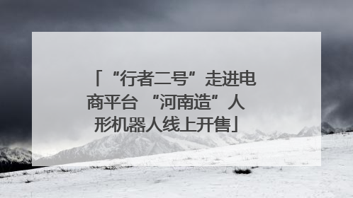 “行者二号”走进电商平台 “河南造”人形机器人线上开售
