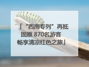 “西南专列”再抵固原 870名游客畅享清凉红色之旅