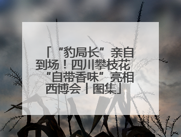 “豹局长”亲自到场！四川攀枝花“自带香味”亮相西博会丨图集