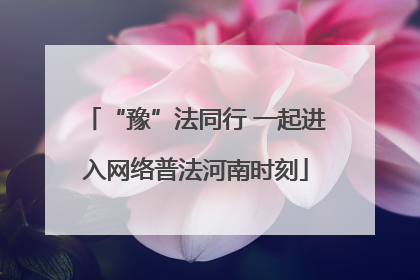 “豫”法同行 一起进入网络普法河南时刻