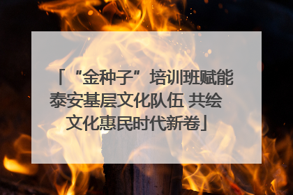 “金种子”培训班赋能泰安基层文化队伍 共绘文化惠民时代新卷